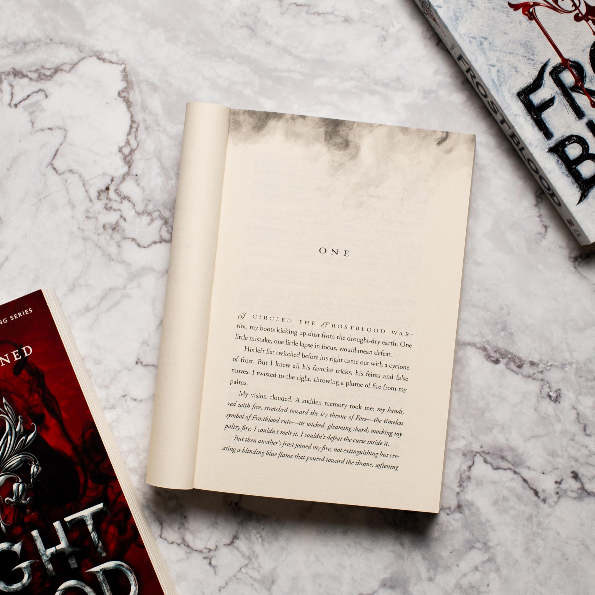 Fireblood (The Frostblood Saga, 2)