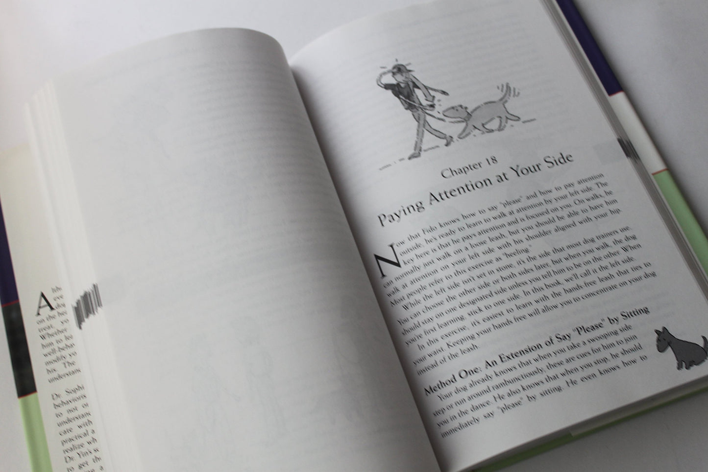 How to Behave So Your Dog Behaves by Yin, Sophia A.