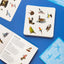 Bird Spotter: Race to be first to find the matching birds - A spotting game for all the family