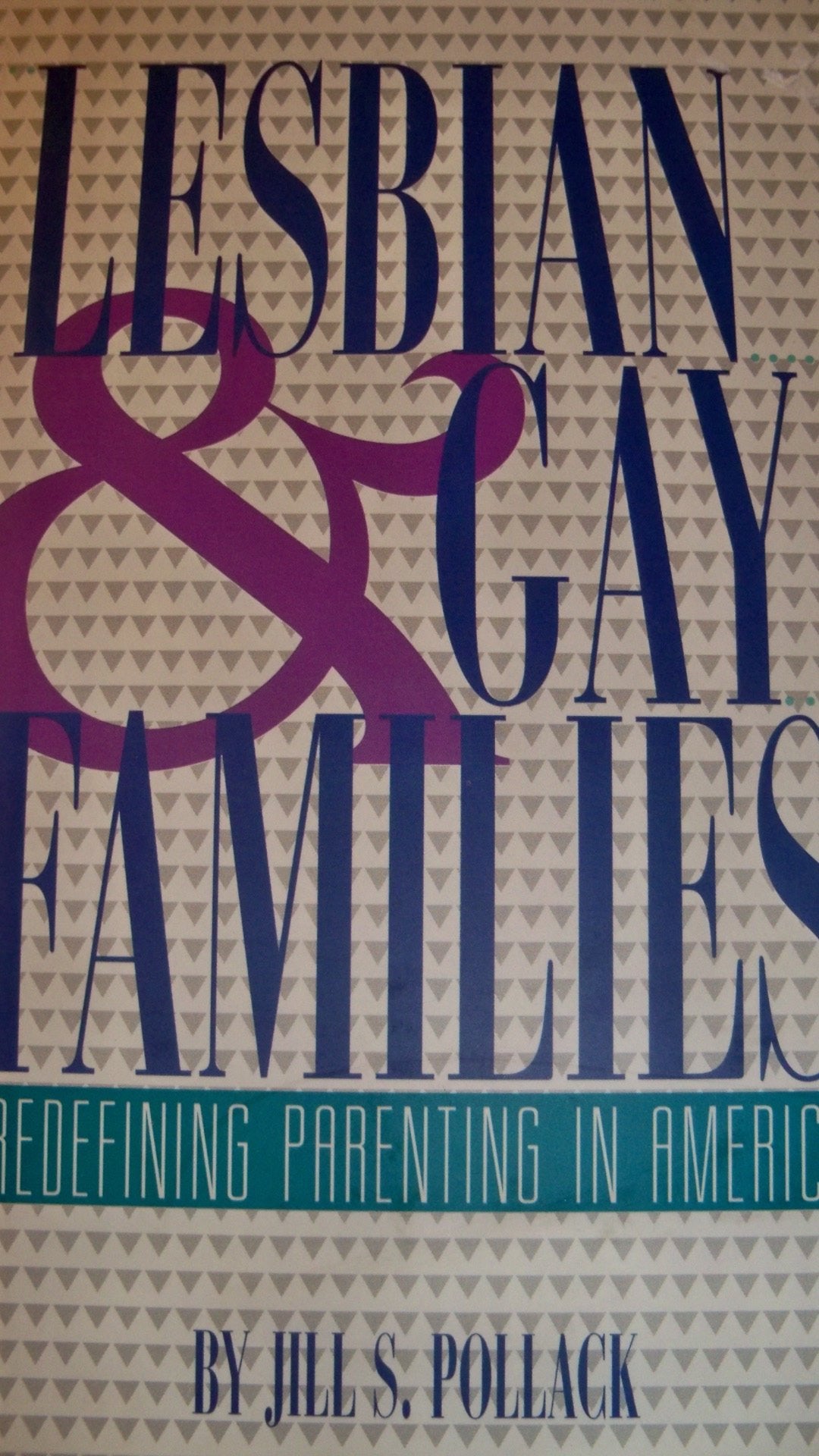 Lesbian and Gay Families: Redefining Parenting in America (The Changing Family)