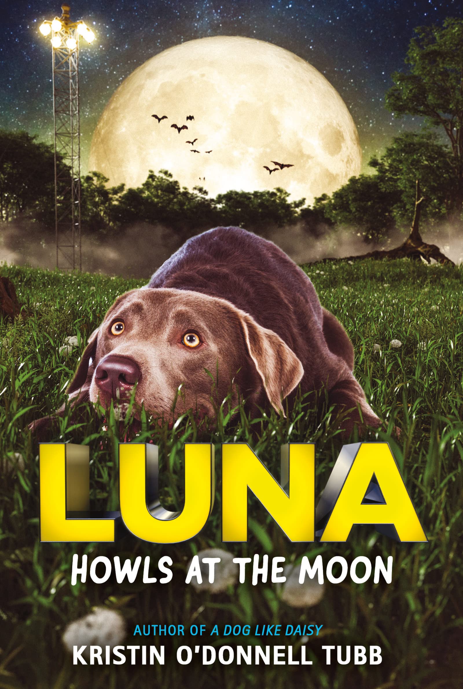 Luna Howls at the Moon: A Middle Grade Dog Story About a Therapy Animal's Quest Across Austin for Kids (Ages 8-12)