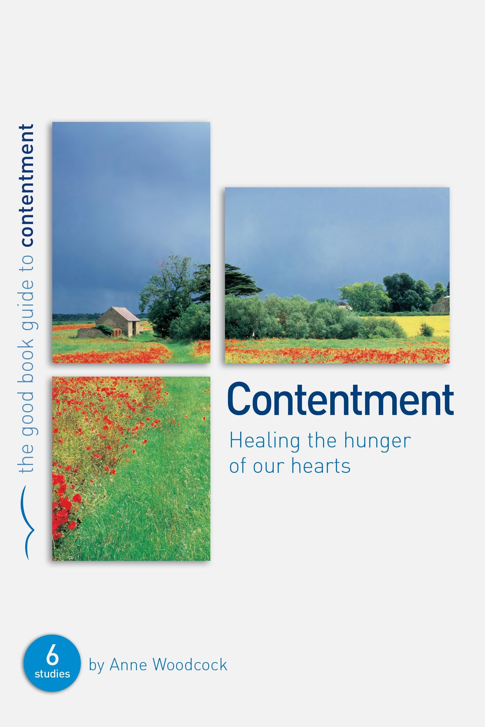 Contentment: Healing the hunger of our hearts (Good Book Guides)