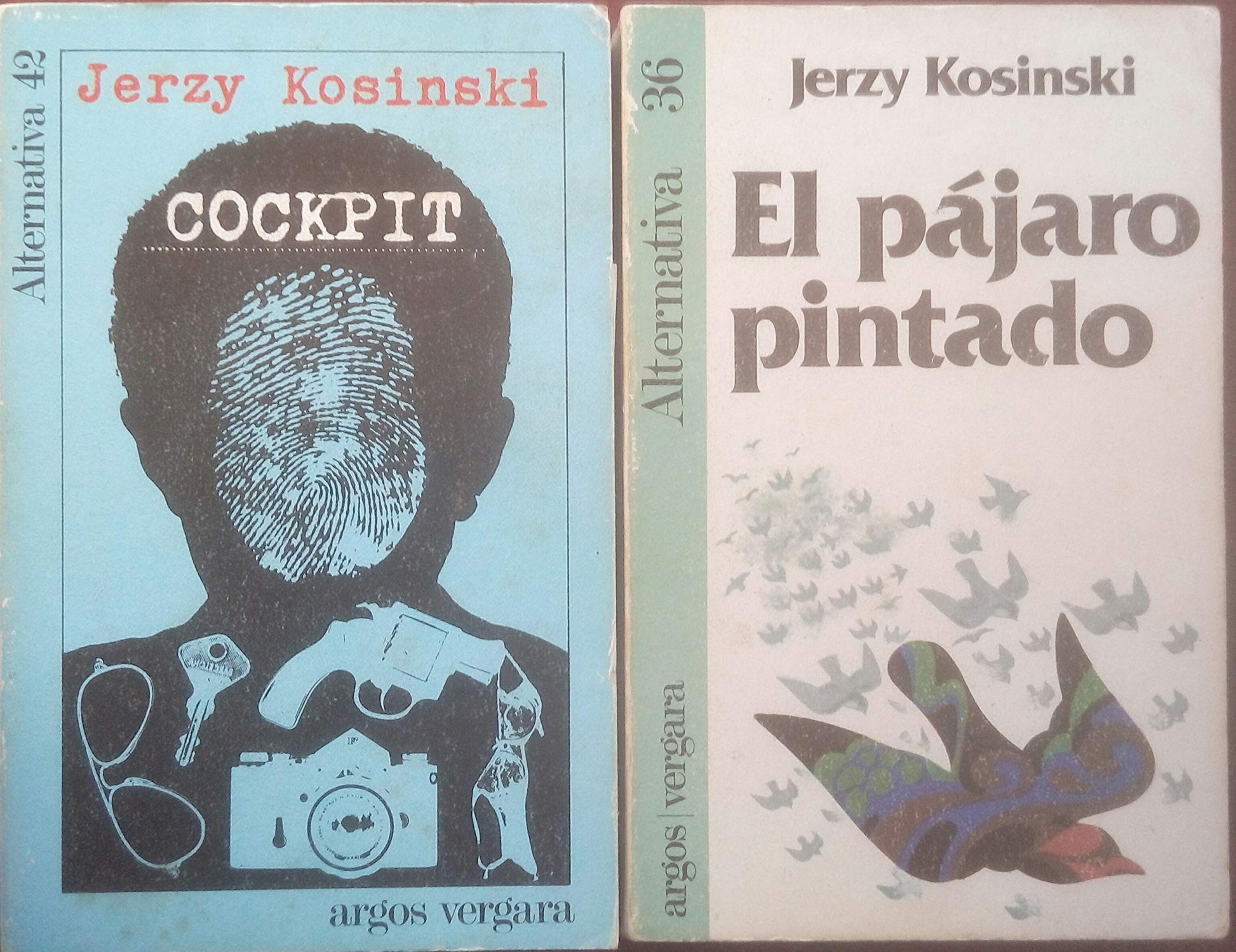 Cockpit (Kosinski, Jerzy)