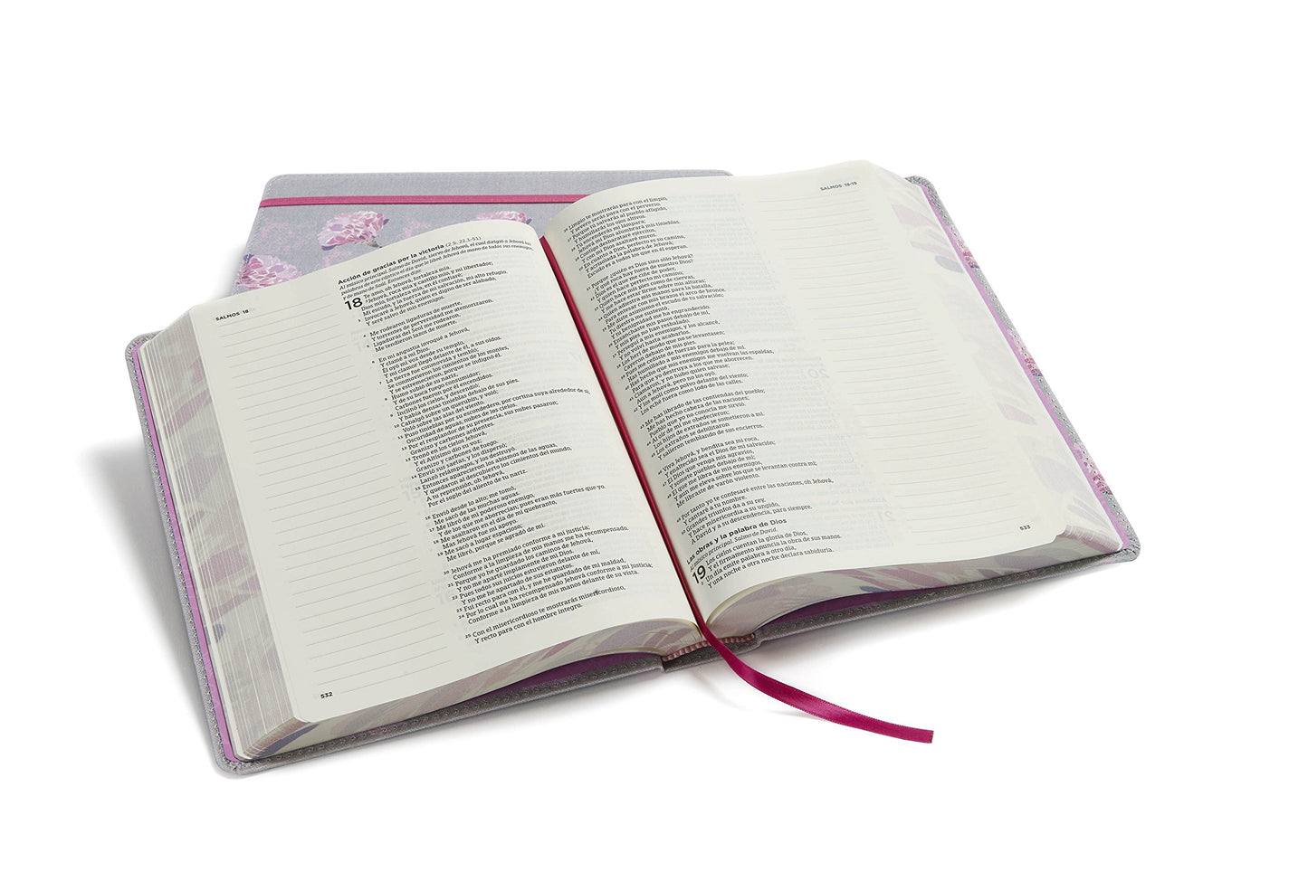 Biblia Reina Valera 1960 de apuntes gris y floreado , tela impresa  RVR 1960 NoteTaking Bible, Grey and Pink, Cloth over Board (Spanish Edition)