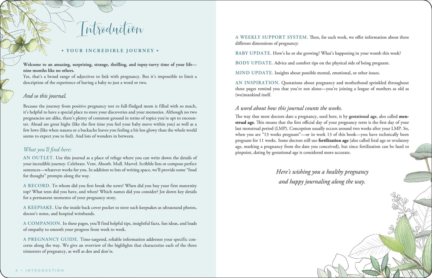 Pregnancy Journal: A Week-By-Week Guide to a Happy, Healthy Pregnancy (Deluxe, Cloth-bound 3rd edition)