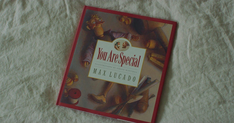 You Are Special (Max Lucado's Wemmicks) — back cover