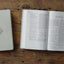 ESV Large Print Value Thinline Bible (TruTone, River Stone, Branch Design): Holy Bible, English Standard Version
