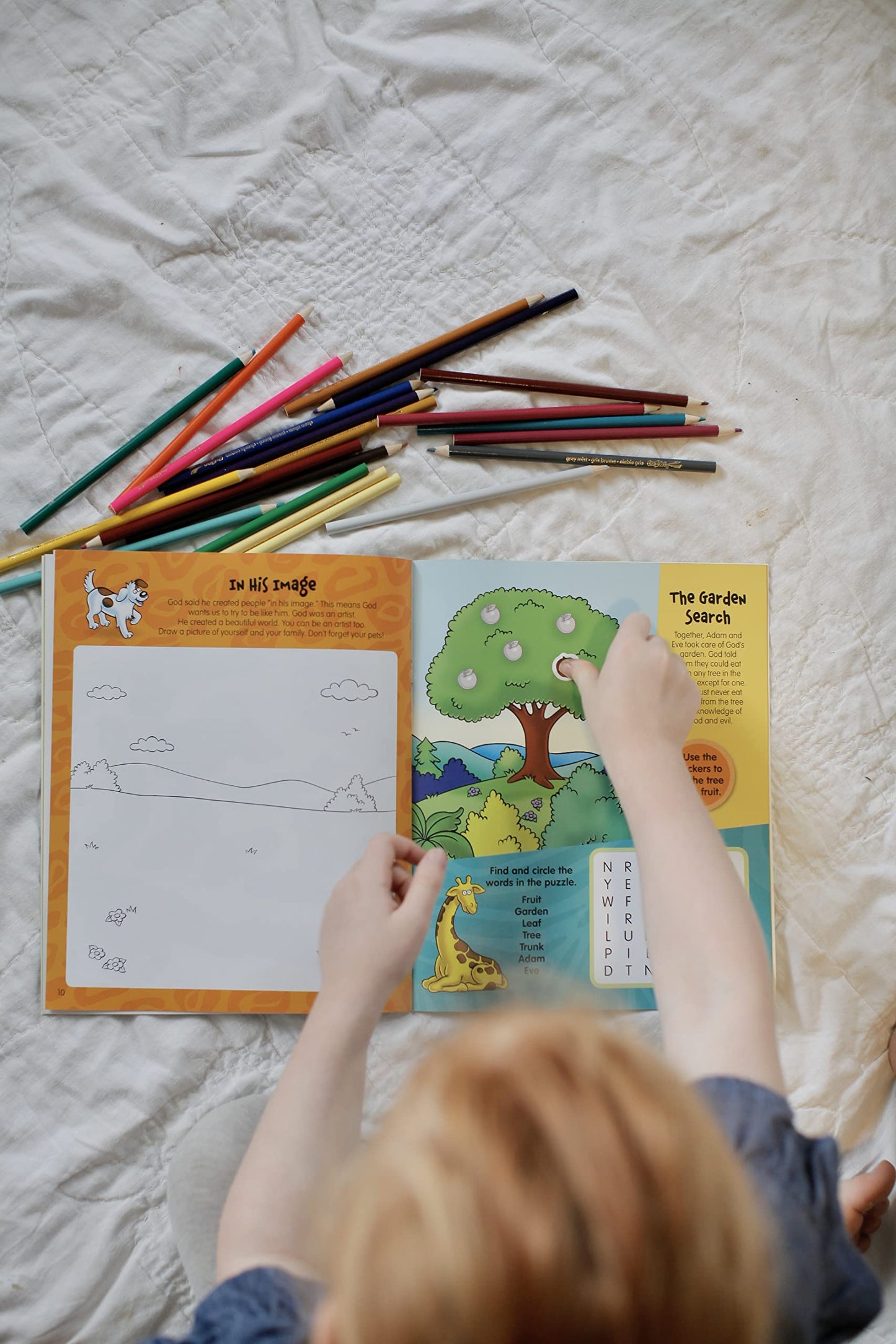The Beginner's Bible Wild About Creation Sticker and Activity Book