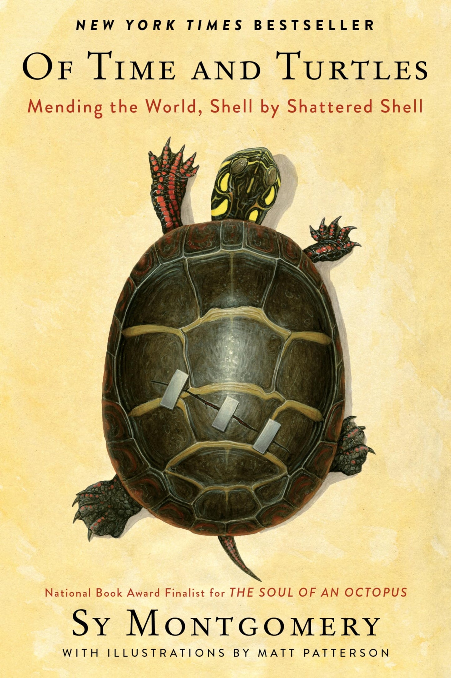 Of Time and Turtles: Mending the World, Shell by Shattered S