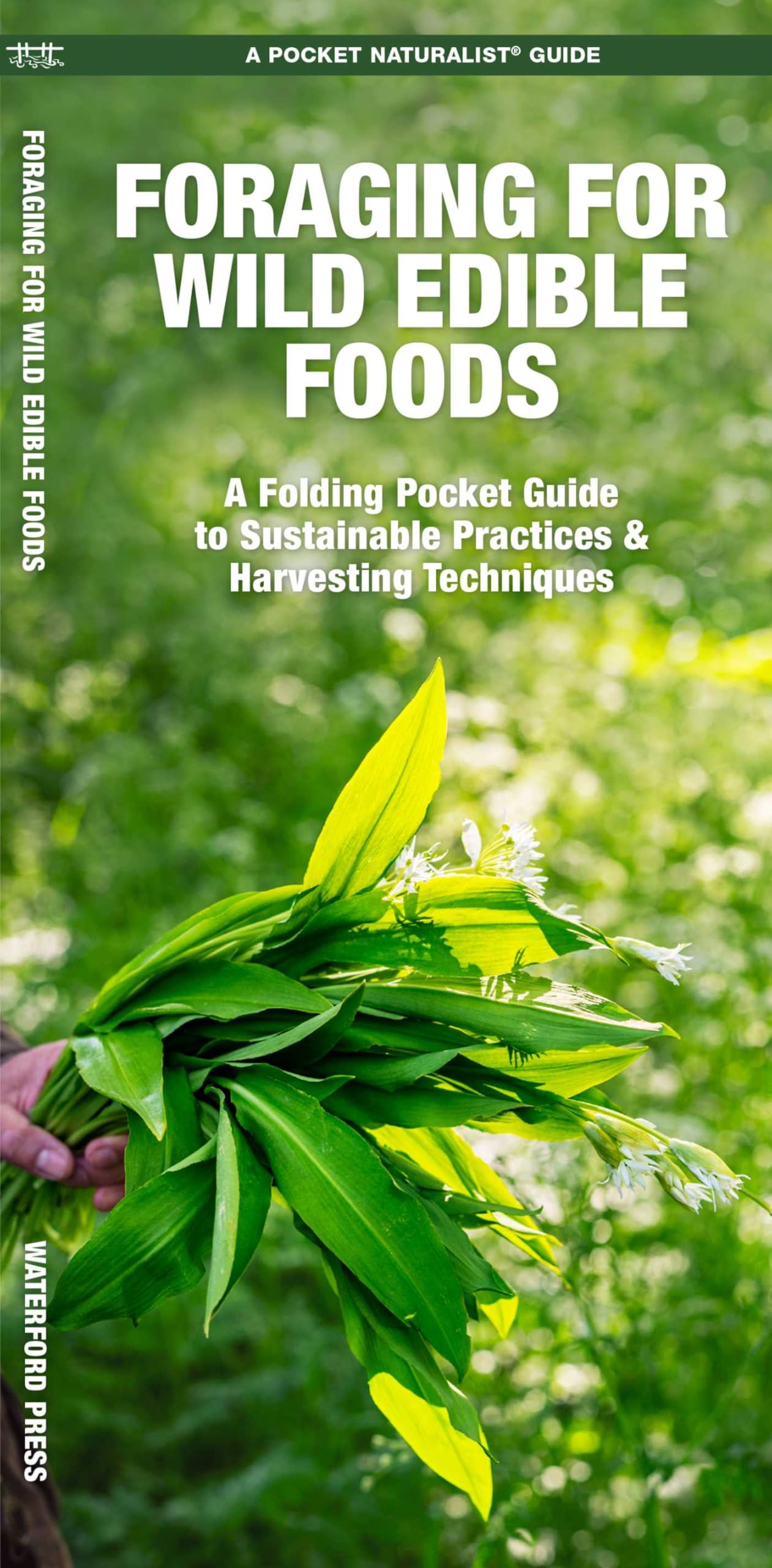 Foraging for Wild Edible Foods: A Folding Pocket Guide to Sustainable Practices & Harvesting Techniques (Outdoor Recreation and Survival)
