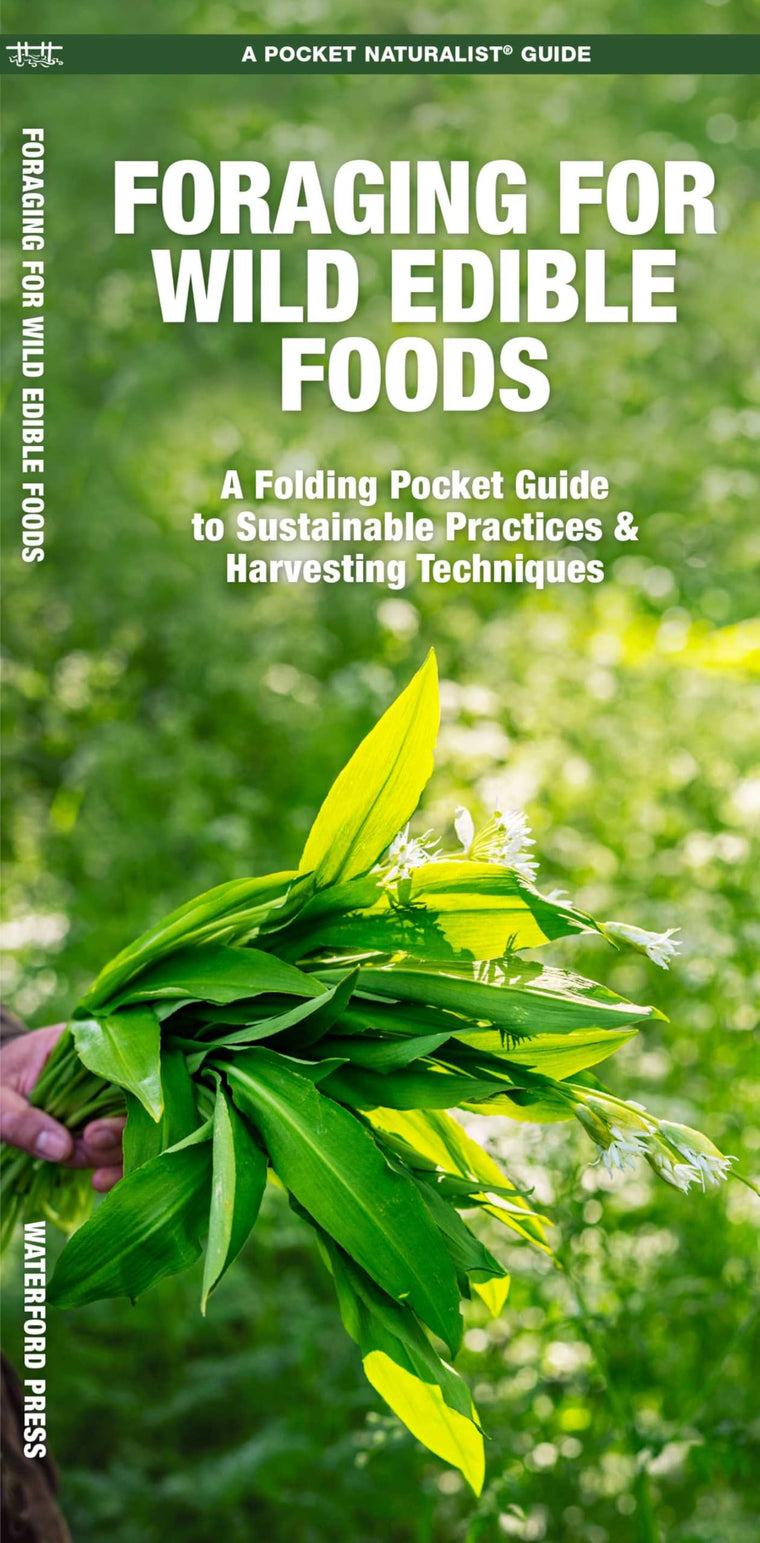 Foraging for Wild Edible Foods: A Folding Pocket Guide to Sustainable Practices & Harvesting Techniques (Outdoor Recreation and Survival)