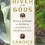 River of the Gods: Genius, Courage, and Betrayal in the Search for the Source of the Nile