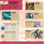 Dungeons & Dragons Pocket Expert