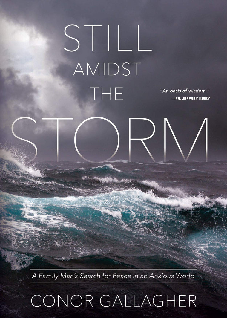 Still Amidst the Storm: A Family Man?s Search for Peace in an Anxious World
