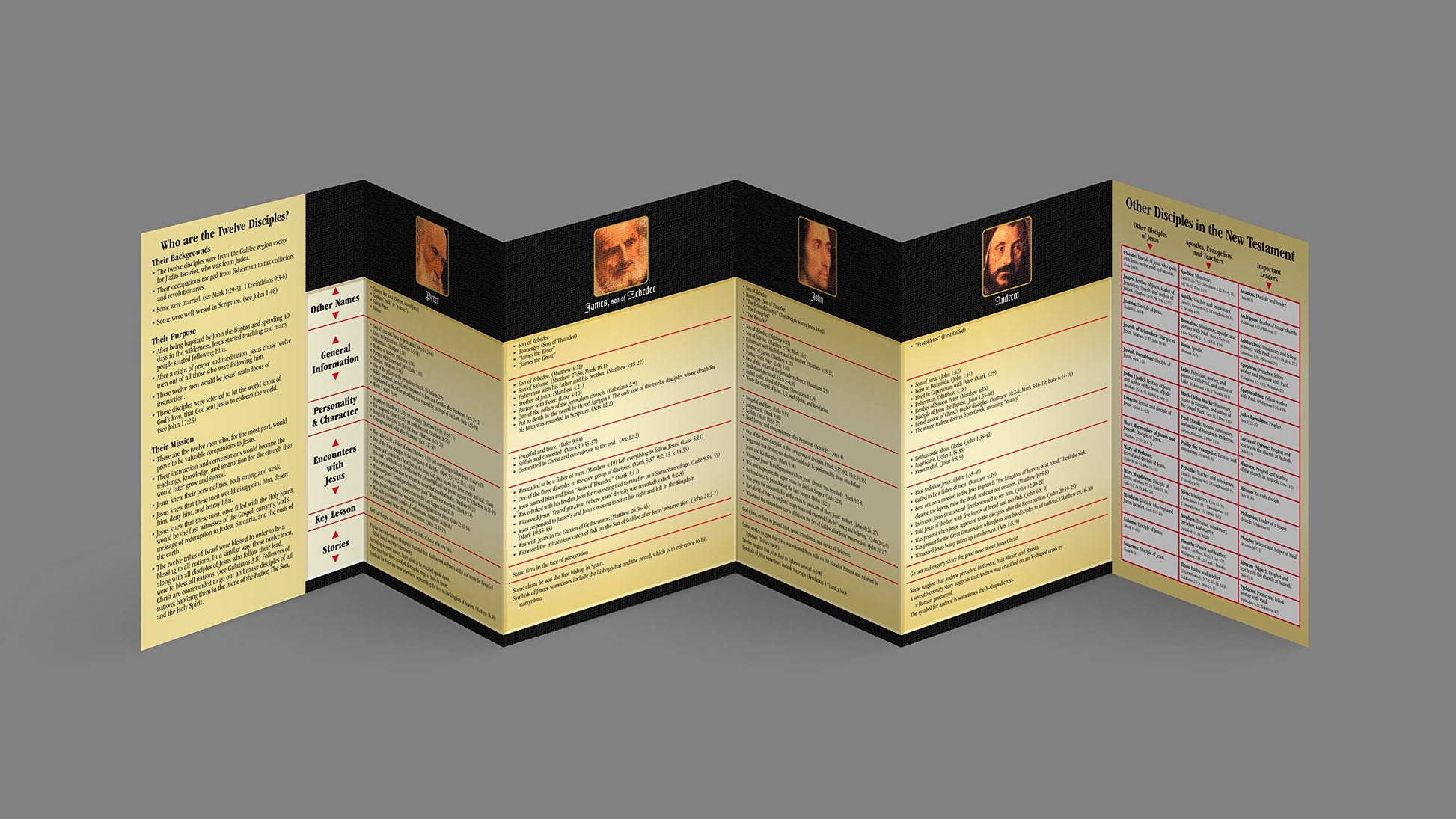 The Twelve Disciples: The Life and Ministry of Jesus' 12 Disciples