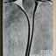 Tina Modotti Photographs