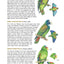 The Wildlife of Costa Rica: A Field Guide (Zona Tropical Pub)