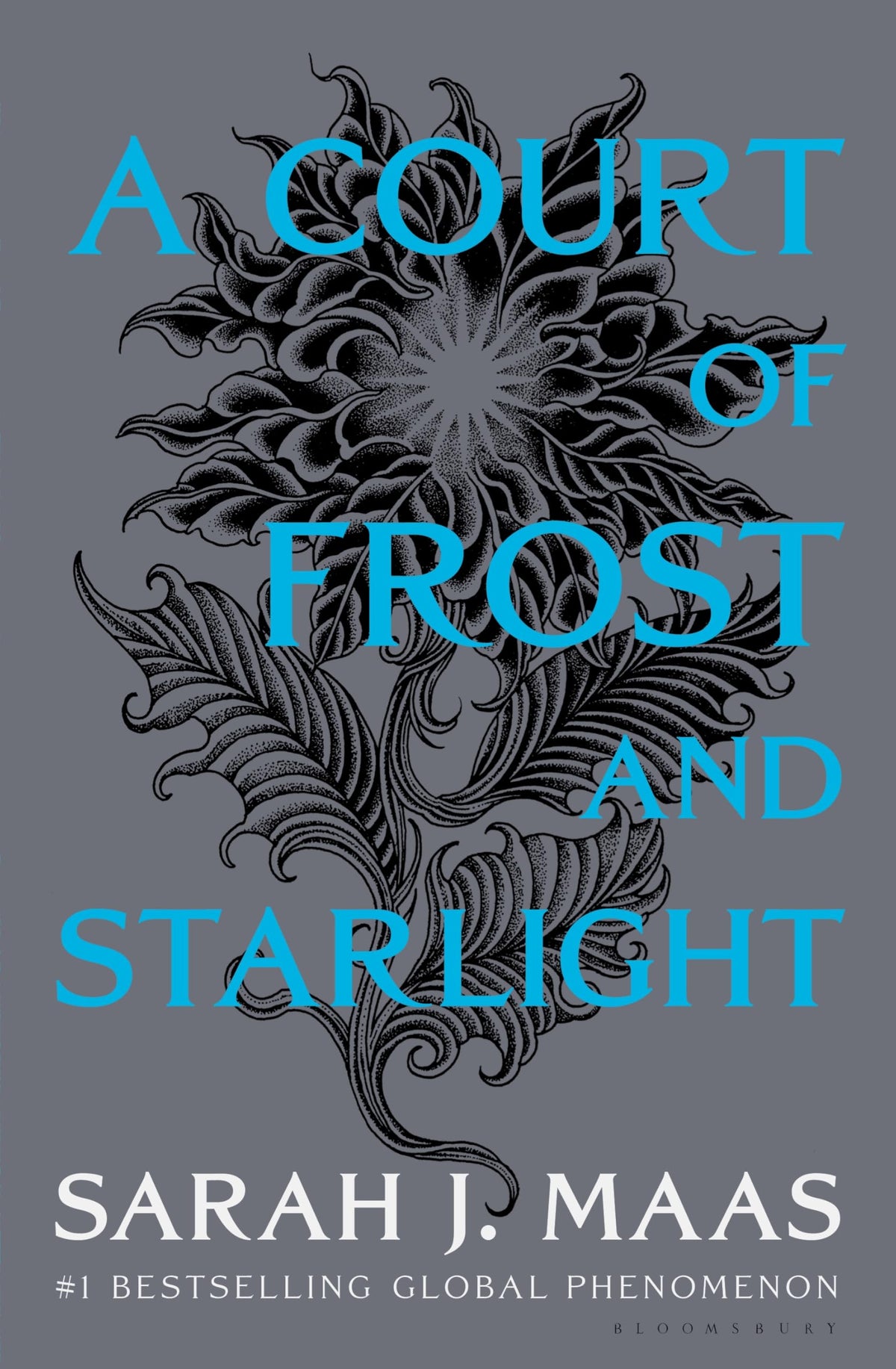 A Court of Frost and Starlight (A Court of Thorns and Roses, 4)