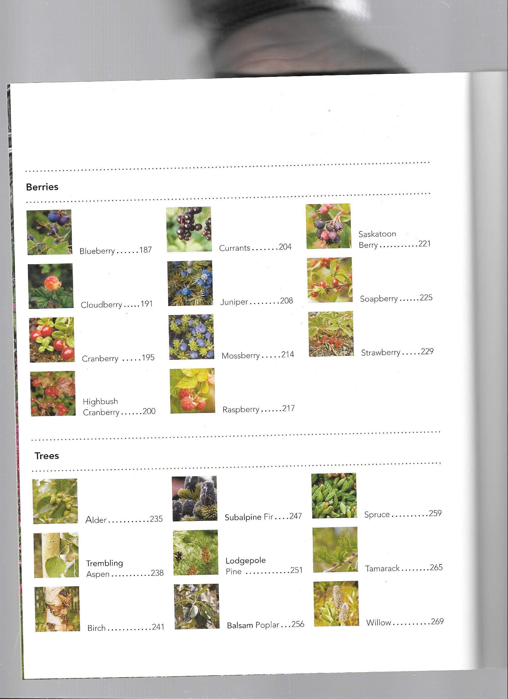 Boreal Herbal Wild Food and Medicine Plants of the North