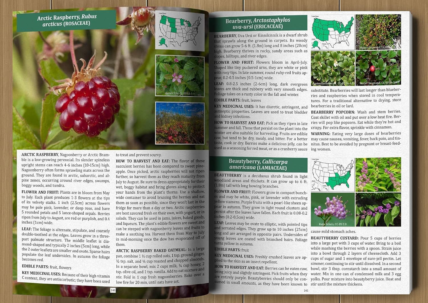The Foragers Guide to Wild Foods