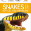 Nature Guide: Snakes and Other Reptiles and Amphibians: The World in Your Hands (DK Nature Guides)