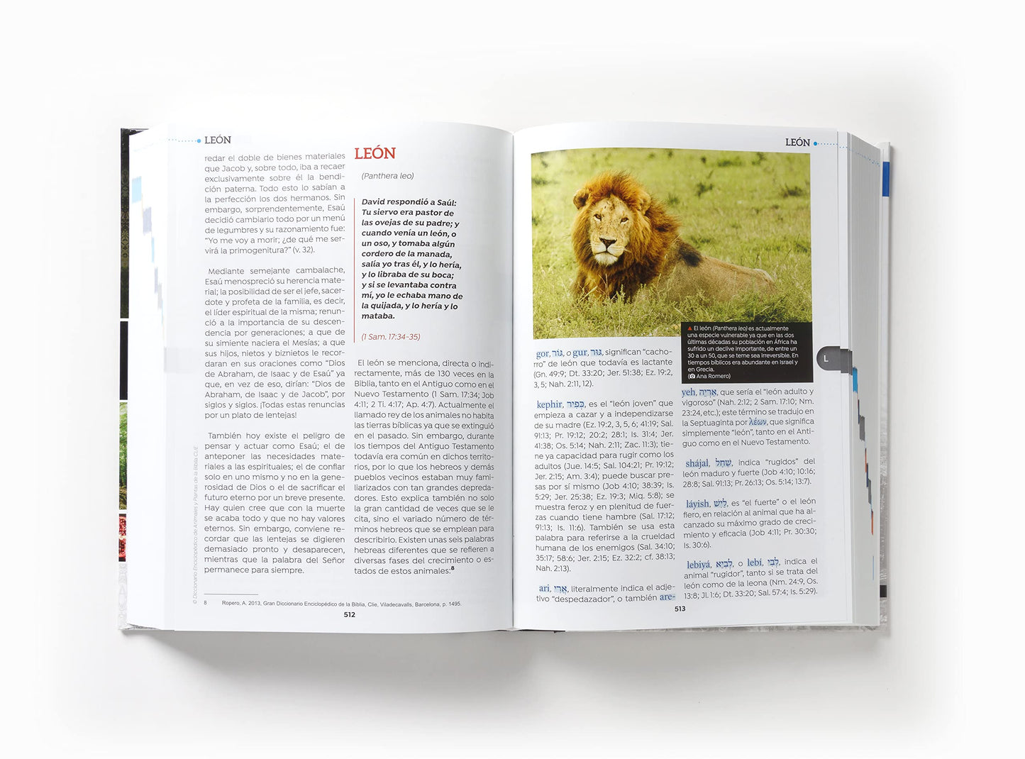 Diccionario Enciclopédico de Animales y Plantas de la Biblia (Spanish Edition)