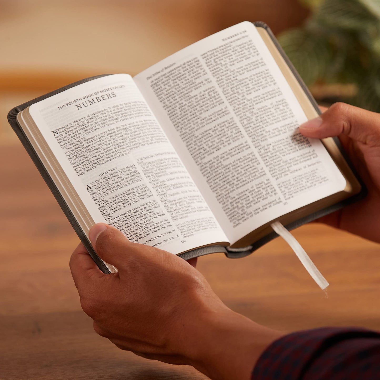 KJV, Reference Bible, Compact, 8-point Print, Leathersoft, B