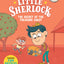 Little Sherlock: The Secret of the Treasure Chest