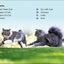 DK Super Readers Level 2 Cats and Kittens