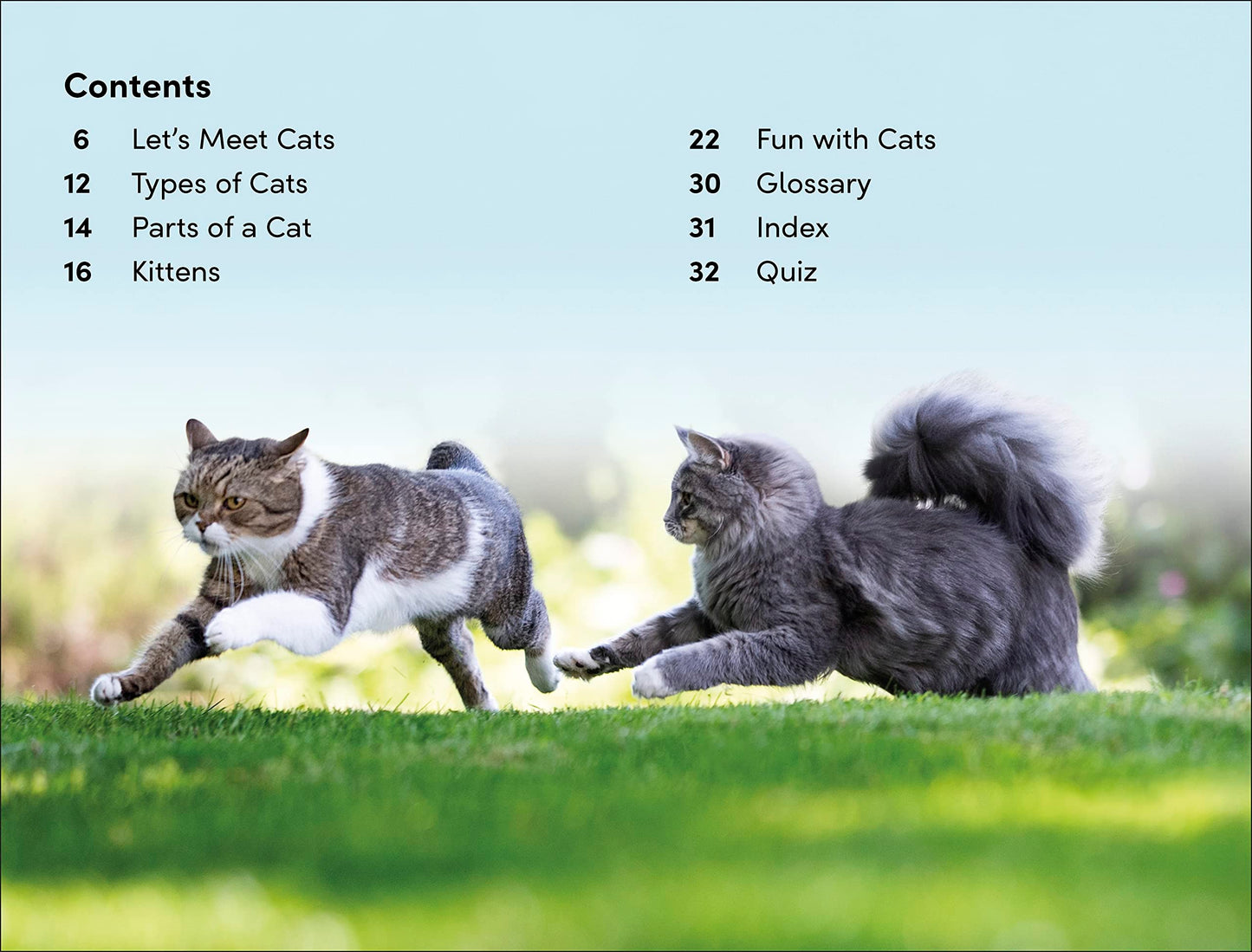 DK Super Readers Level 2 Cats and Kittens