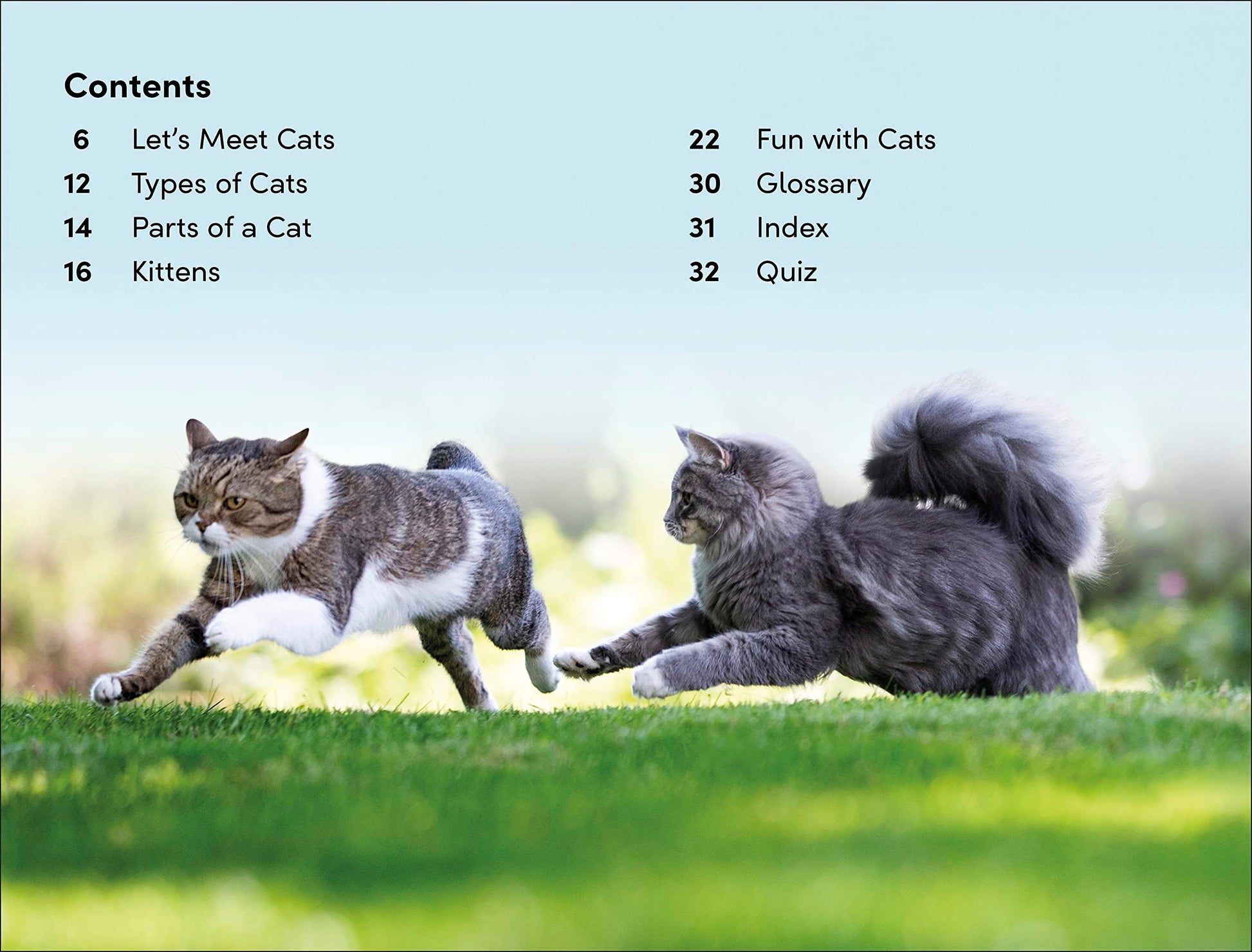 DK Super Readers Level 2 Cats and Kittens