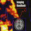 Brain Imaging Handbook by Bremner M.D., J. Douglas