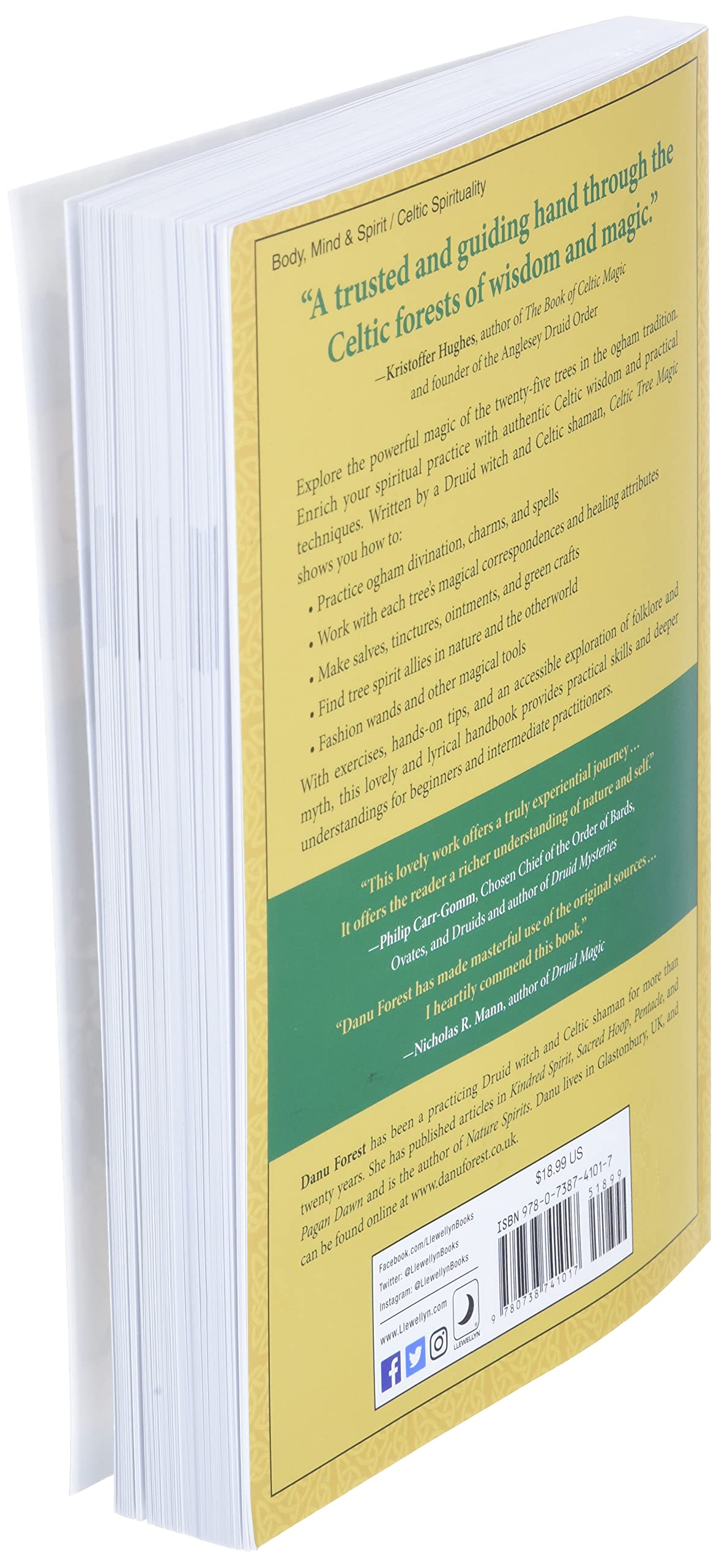 Celtic Tree Magic: Ogham Lore and Druid Mysteries