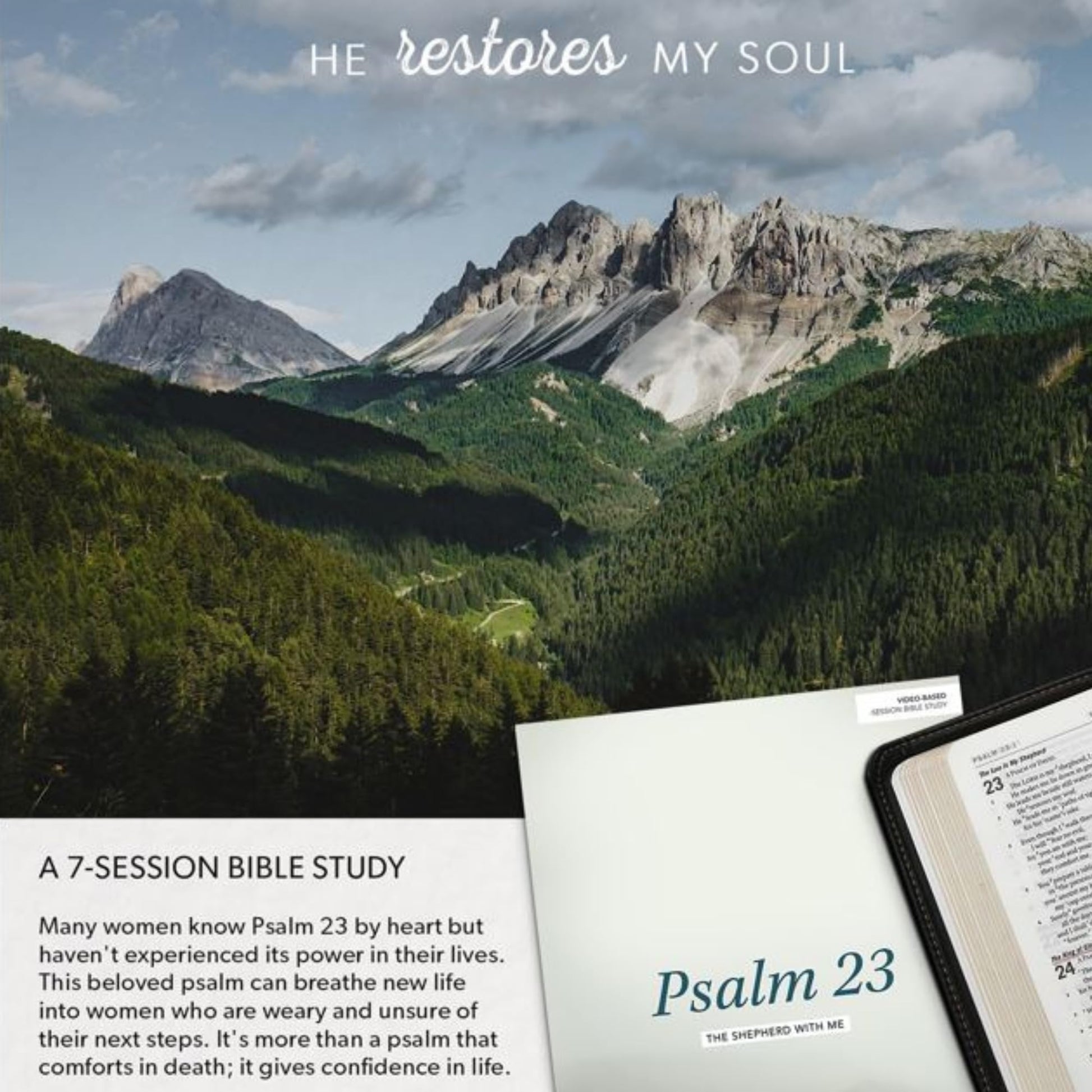 Psalm 23 - Bible Study Book: The Shepherd With Me
