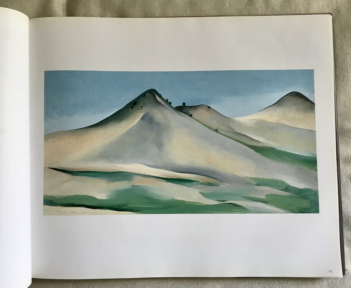 Georgia Okeeffe: In The West by Doris Bry