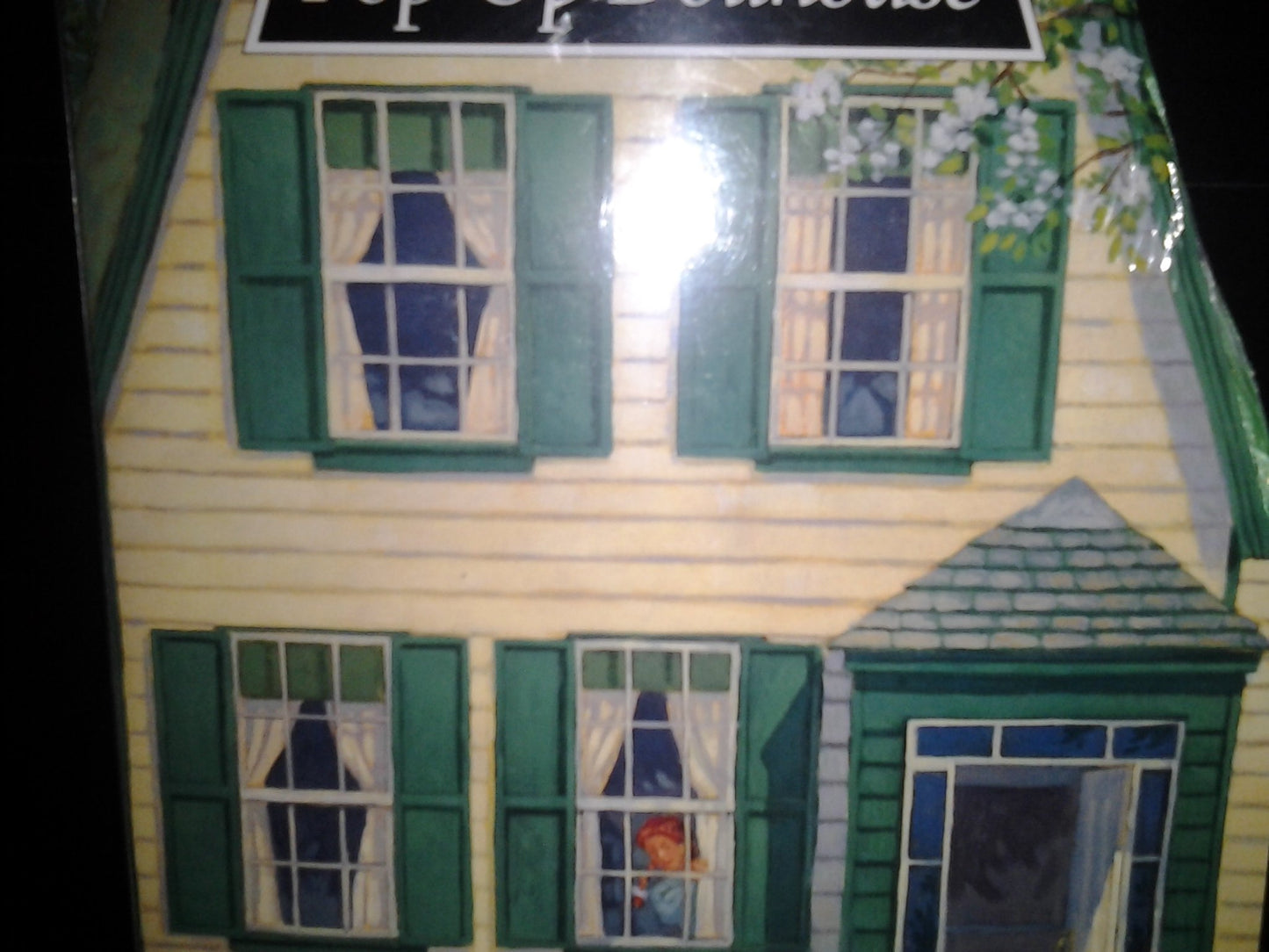 Anne of Green Gables: Pop-Up Dolls House by Morrison, Rick