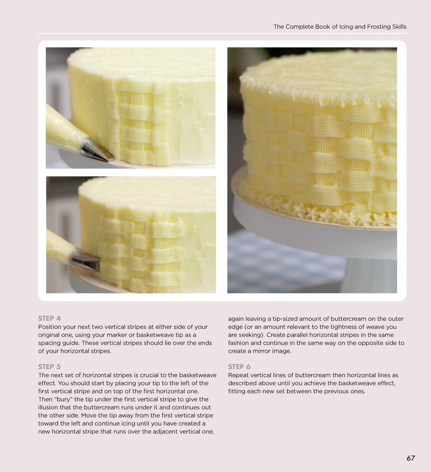 The Complete Book of Icing, Frosting & Fondant Skills