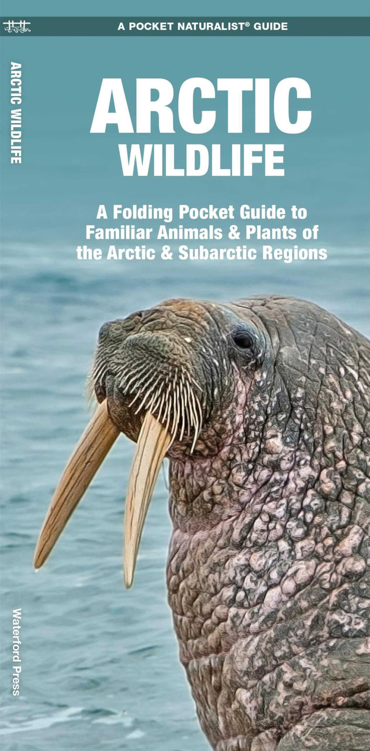 Arctic Wildlife: A Folding Pocket Guide to Familiar Animals & Plants of the Arctic & Subarctic Regions (Nature Observation International)