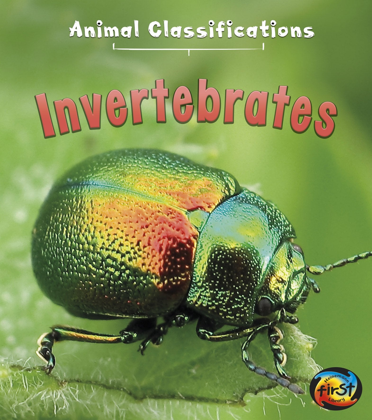 Invertebrates (Animal Classification) (Animal Classifications)