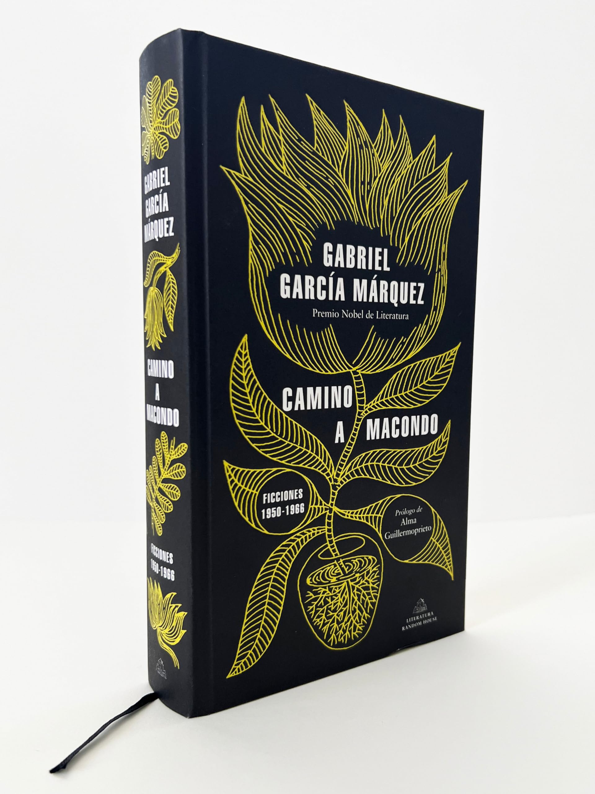 Camino a Macondo / The Road to Macondo (Spanish Edition)
