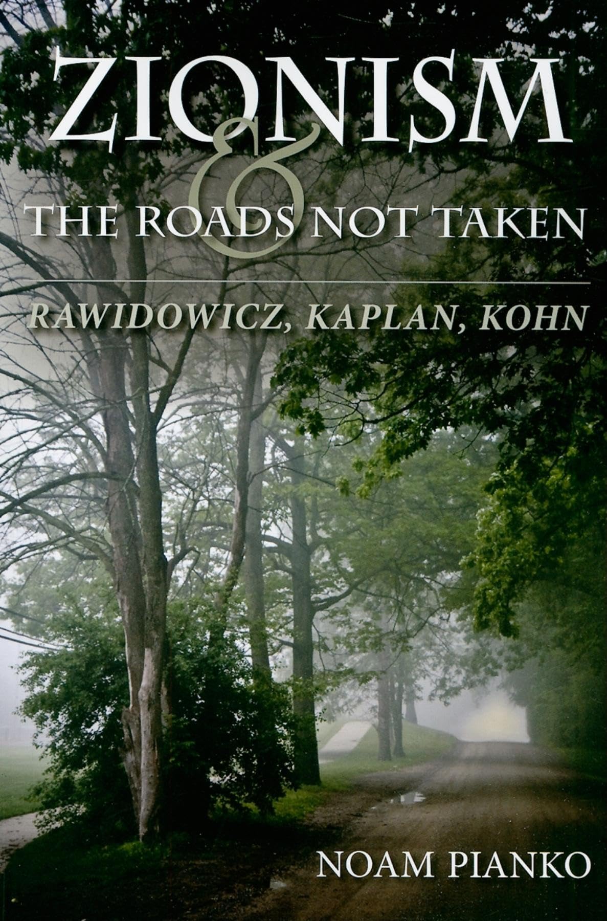 Zionism and the Roads Not Taken: Rawidowicz, Kaplan, Kohn (The Modern Jewish Experience)
