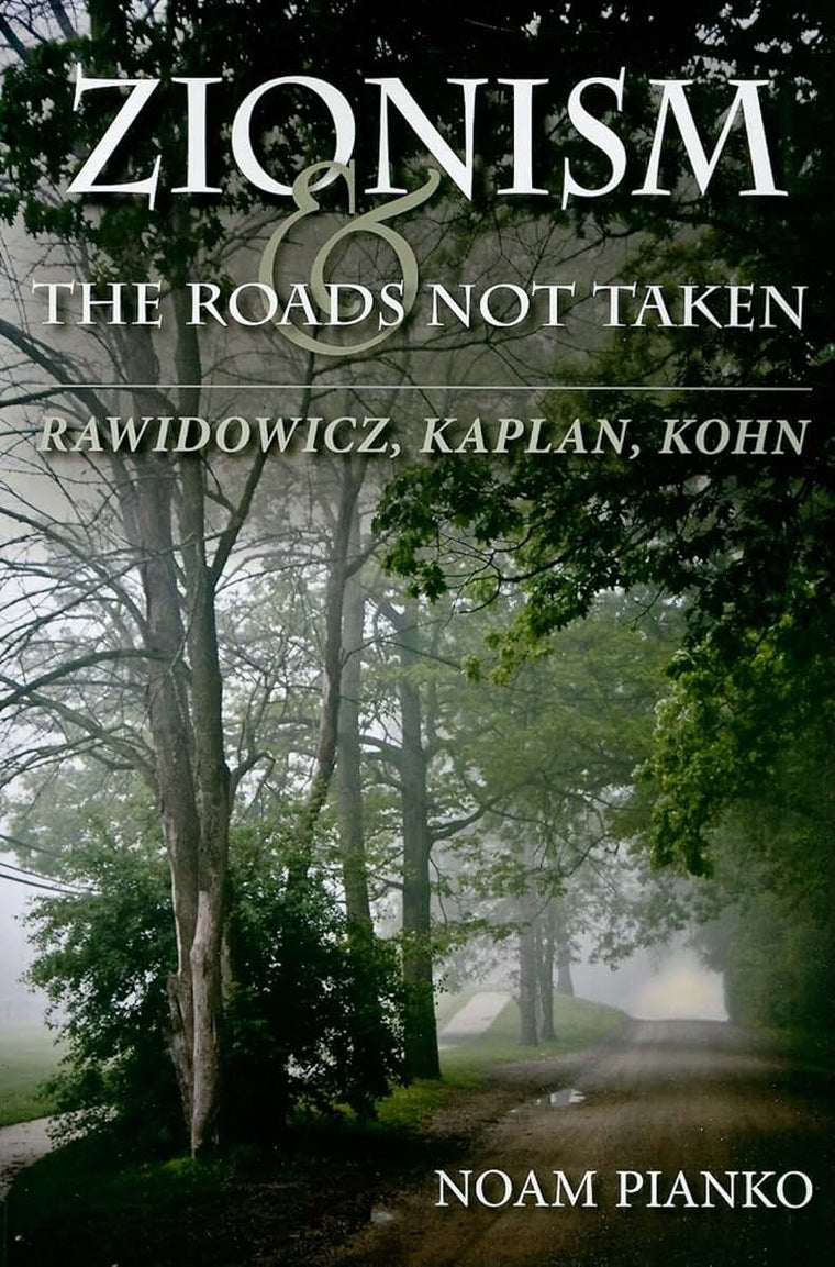 Zionism and the Roads Not Taken: Rawidowicz, Kaplan, Kohn (The Modern Jewish Experience)