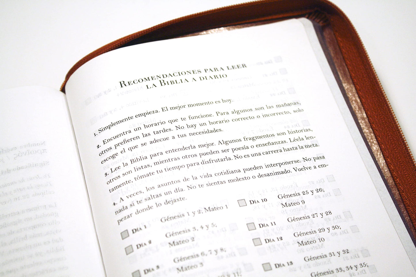 Biblia RVR 1960 letra grande tamao manual cremallera e ndice canela nombres de Dios / Spanish Bible RV60 Handy Size Large Print Brown Names of God Index Zi (Spanish Edition)