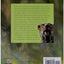 Biology: Concepts and Connections