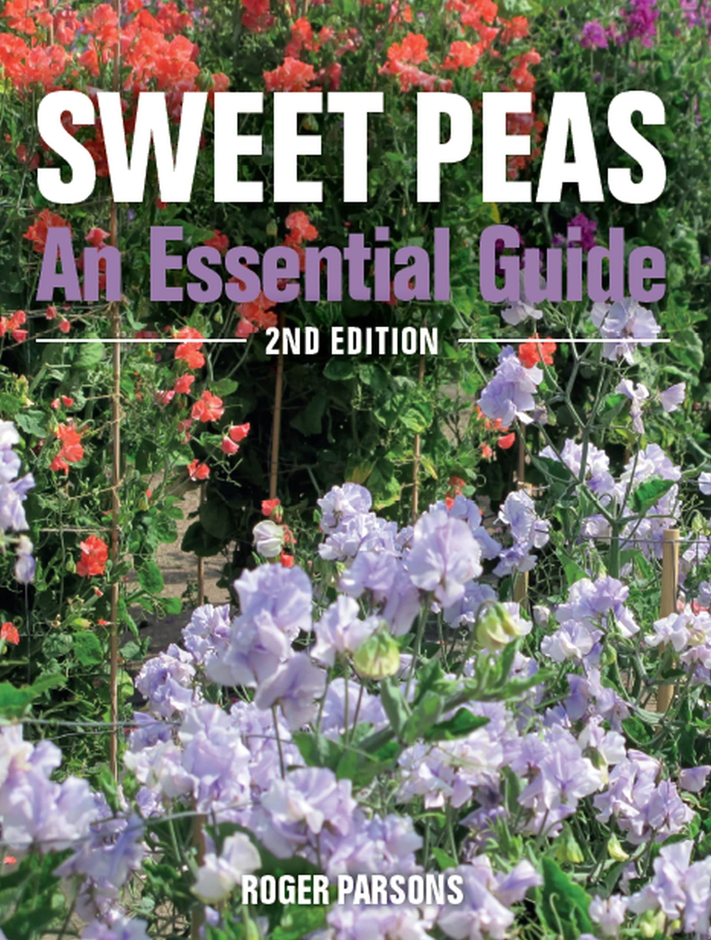 Sweet Peas: An Essential Guide by Parsons, Roger
