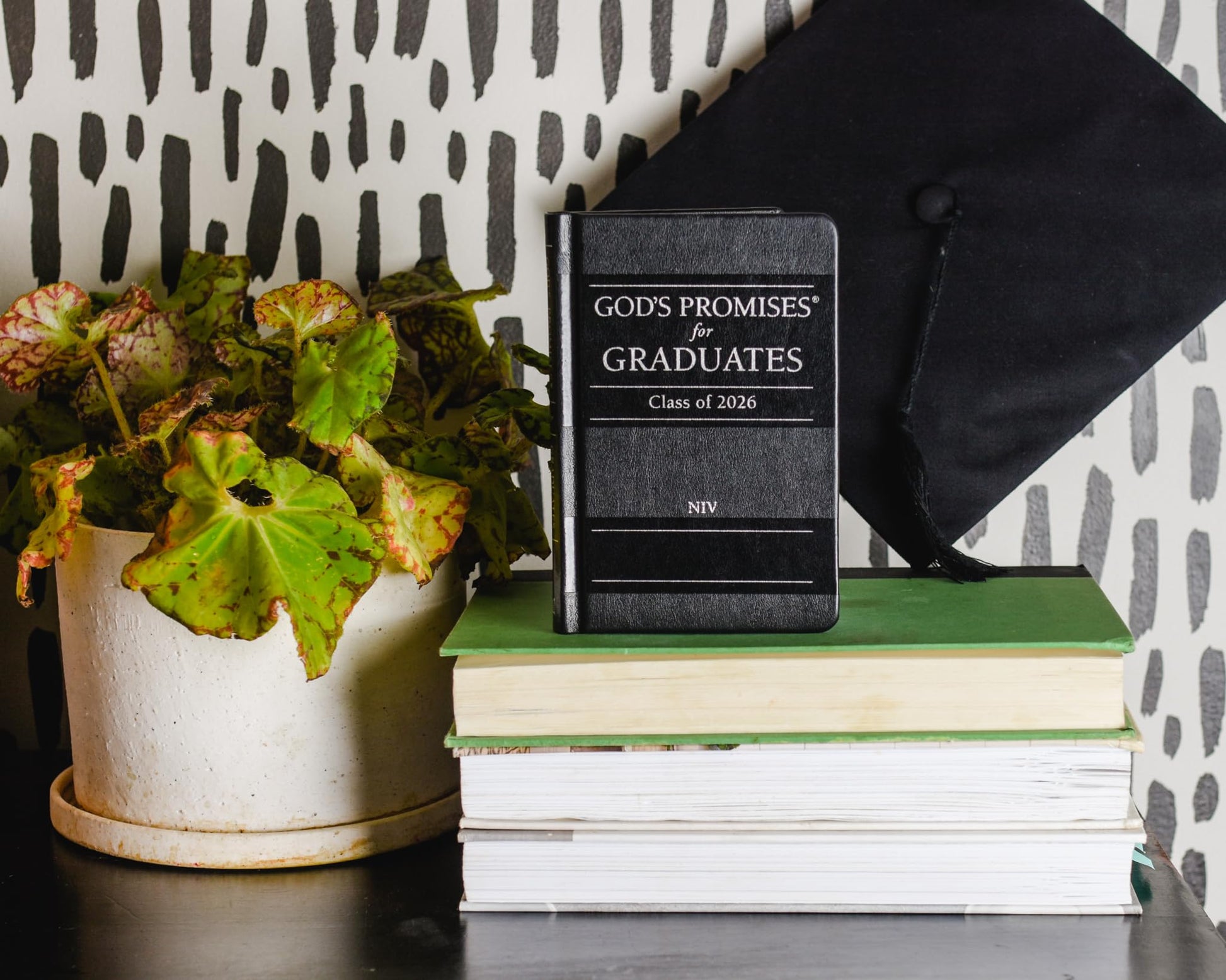 God's Promises for Graduates: Class of 2026 - Black NIV: New International Version (The Perfect Christian Graduation Gift to Celebrate Your Grad)