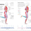 Running (Science of Running): Mejora tu técnica, evita lesiones, perfecciona tu entrenamiento (Spanish Edition)