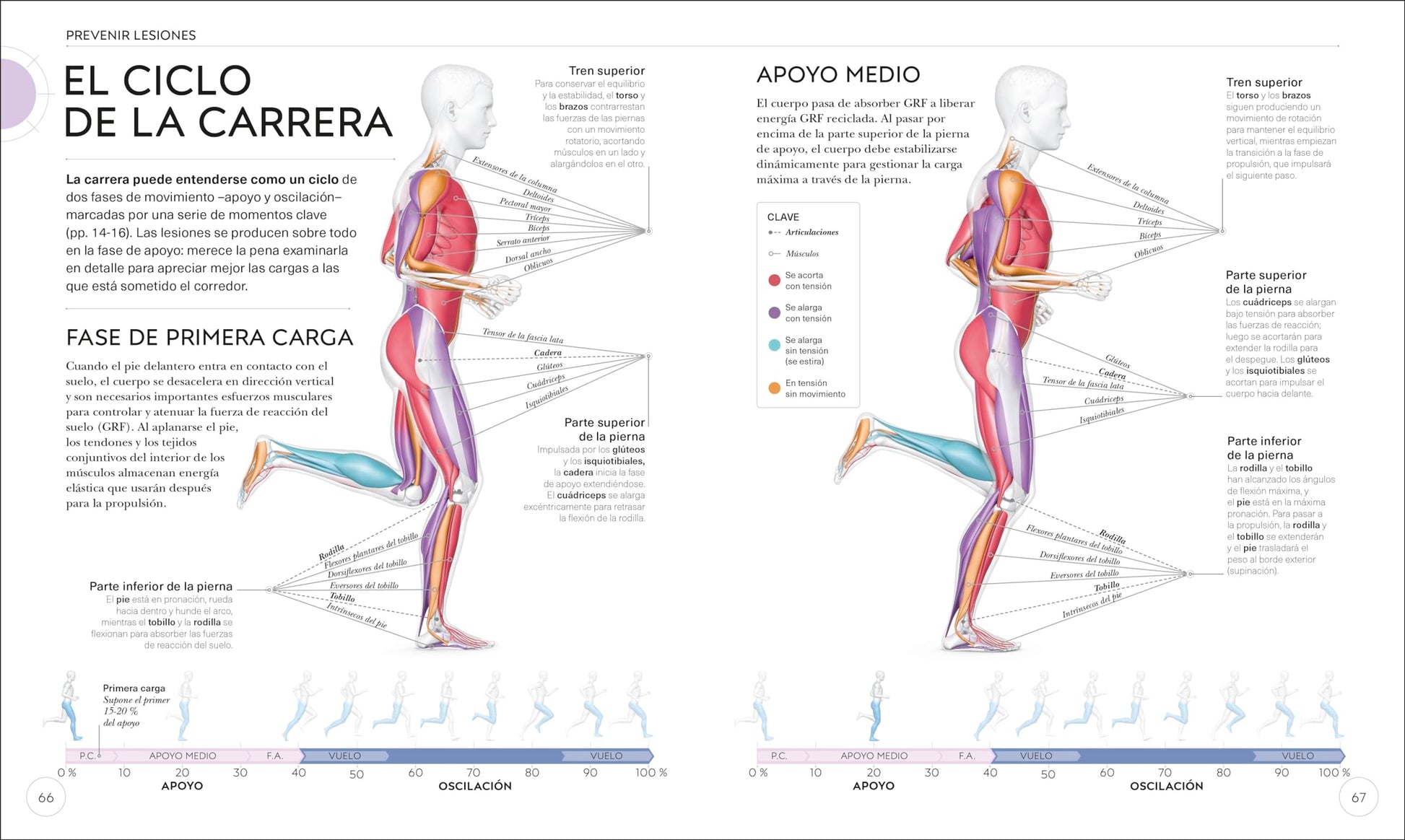 Running (Science of Running): Mejora tu técnica, evita lesiones, perfecciona tu entrenamiento (Spanish Edition)