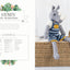 Knitted Wild Animal Friends: Over 40 knitting patterns for wild animal dolls, their clothes and accessories