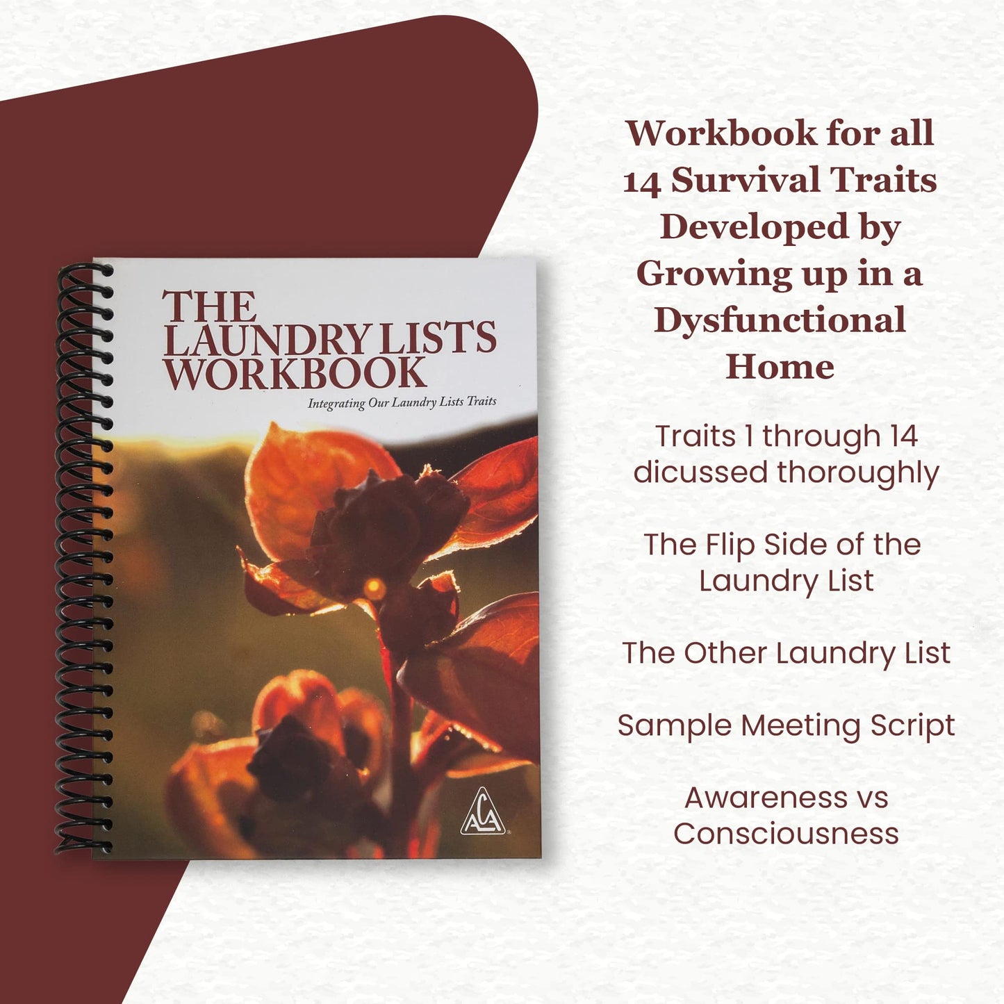 THE LAUNDRY LISTS WORKBOOK Integrating Our Laundry List Trai